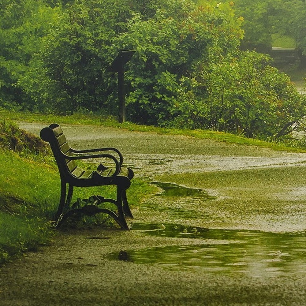 Meet your Posher, Bennett